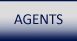 North Georgia Cabins and Land Agents