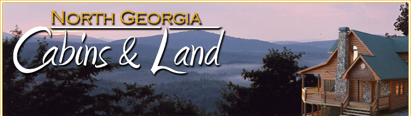 North Georgia Mountain Property